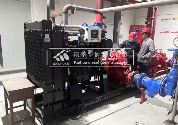 浙江某化工企業2臺柴油水泵機組成功交付